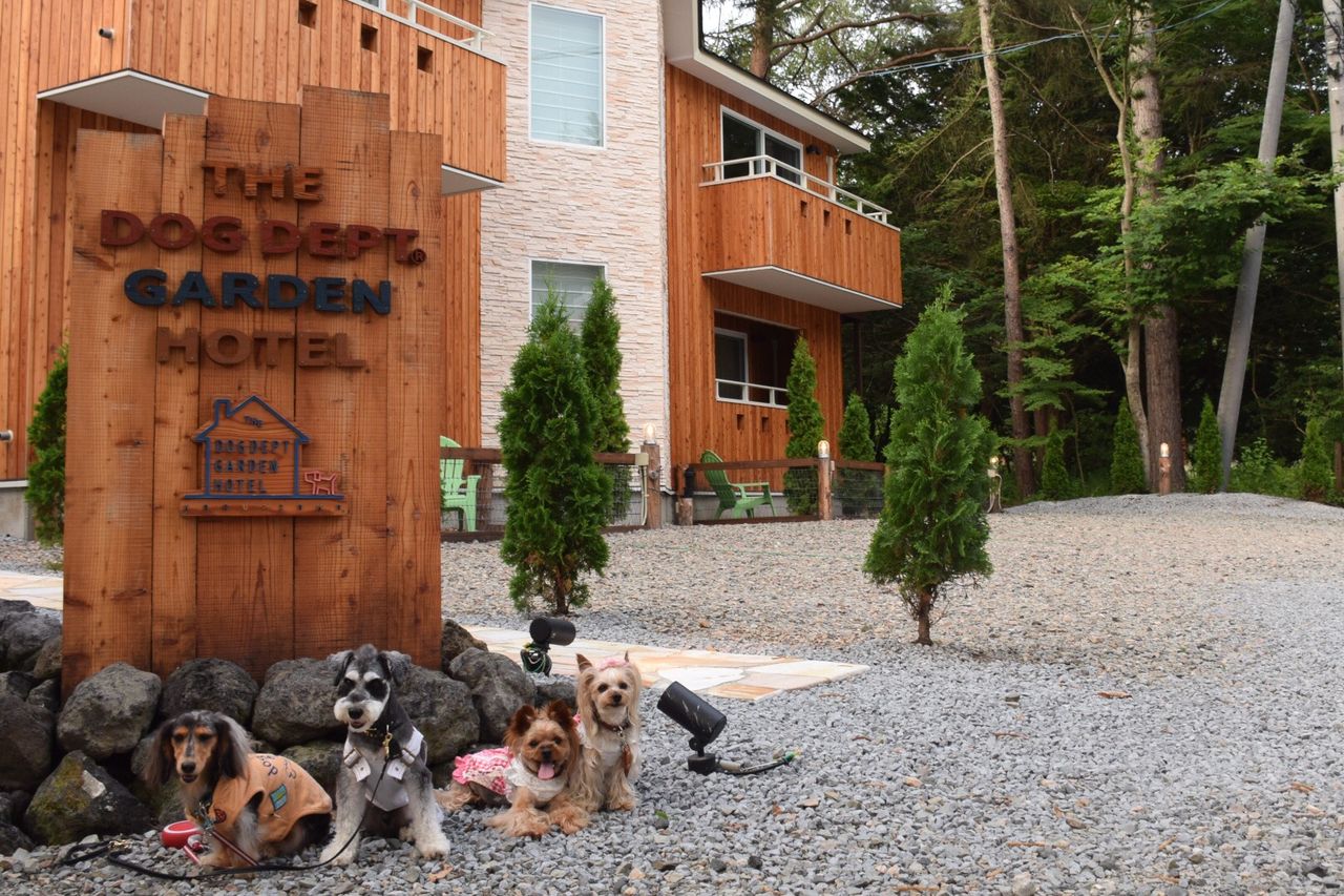 軽井沢旅行1日目 Dog Dept Garden Hotel 1 スティッチとオハナとアロハ ときどき私
