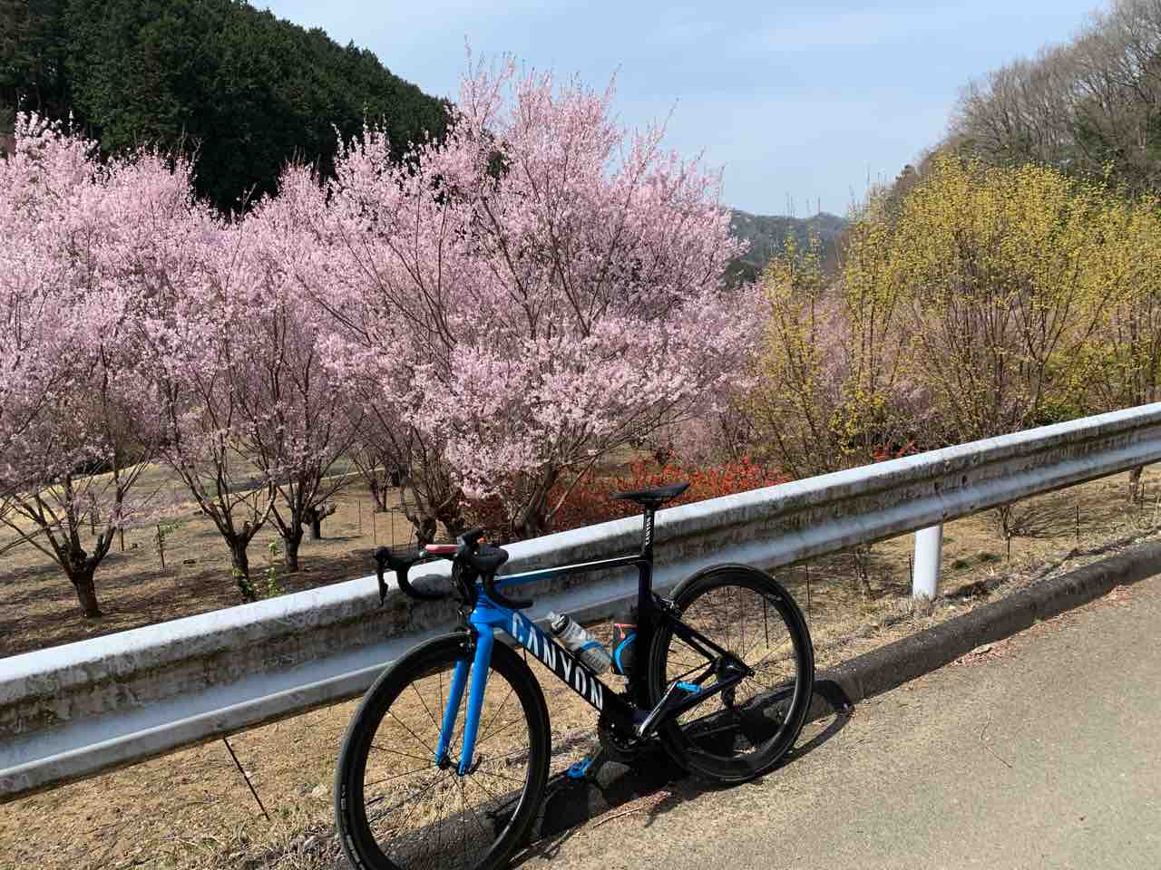 桃源郷へ行ってきた 続き 貧乏デザイナーの作業報告書