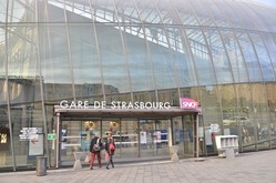 ���ȥ饹�֡��룱