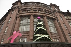 ���ȥ饹�֡��룳