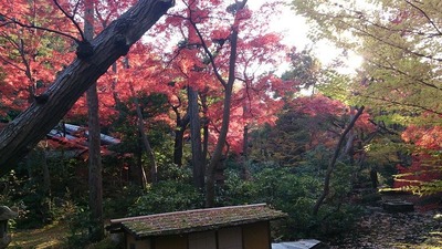 �������Ѵ�����