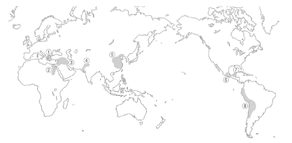 2026������硦ʸ�����۳���