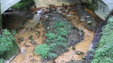 �˹��ݲ���������