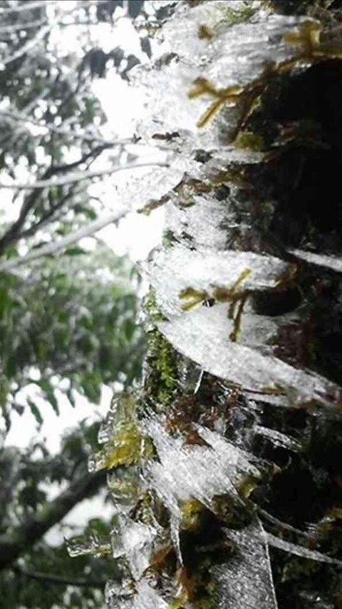 [画像:740ba7f5-s.jpg]