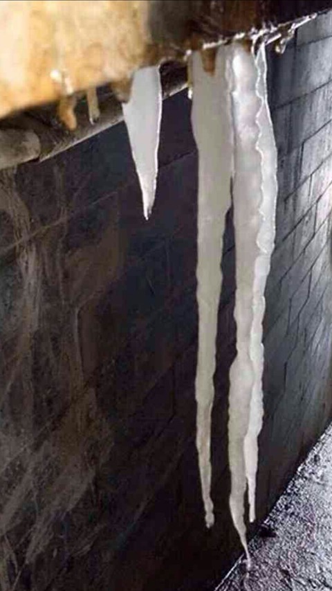 [画像:c61afeca-s.jpg]