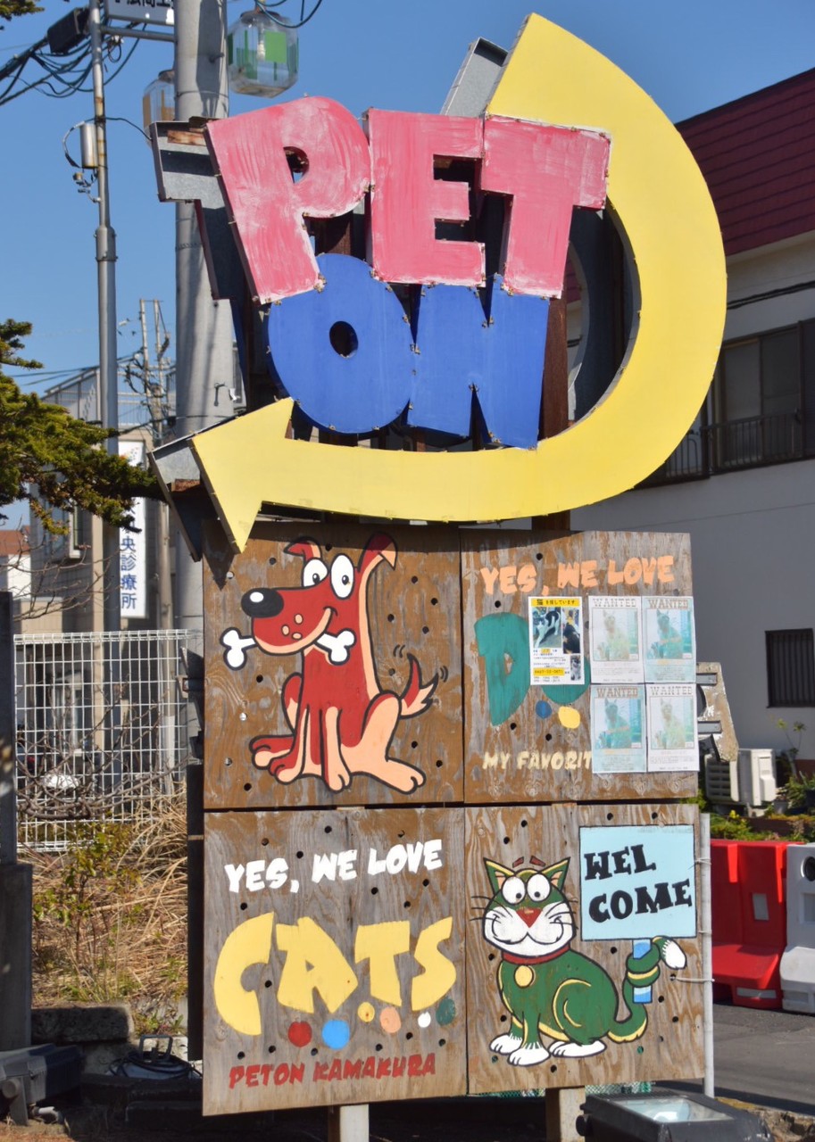 ぺトン鎌倉 ありきたりじゃない お客さんから愛される 生体販売を行わないペットショップに行ってきたよ シェルティ こむっ