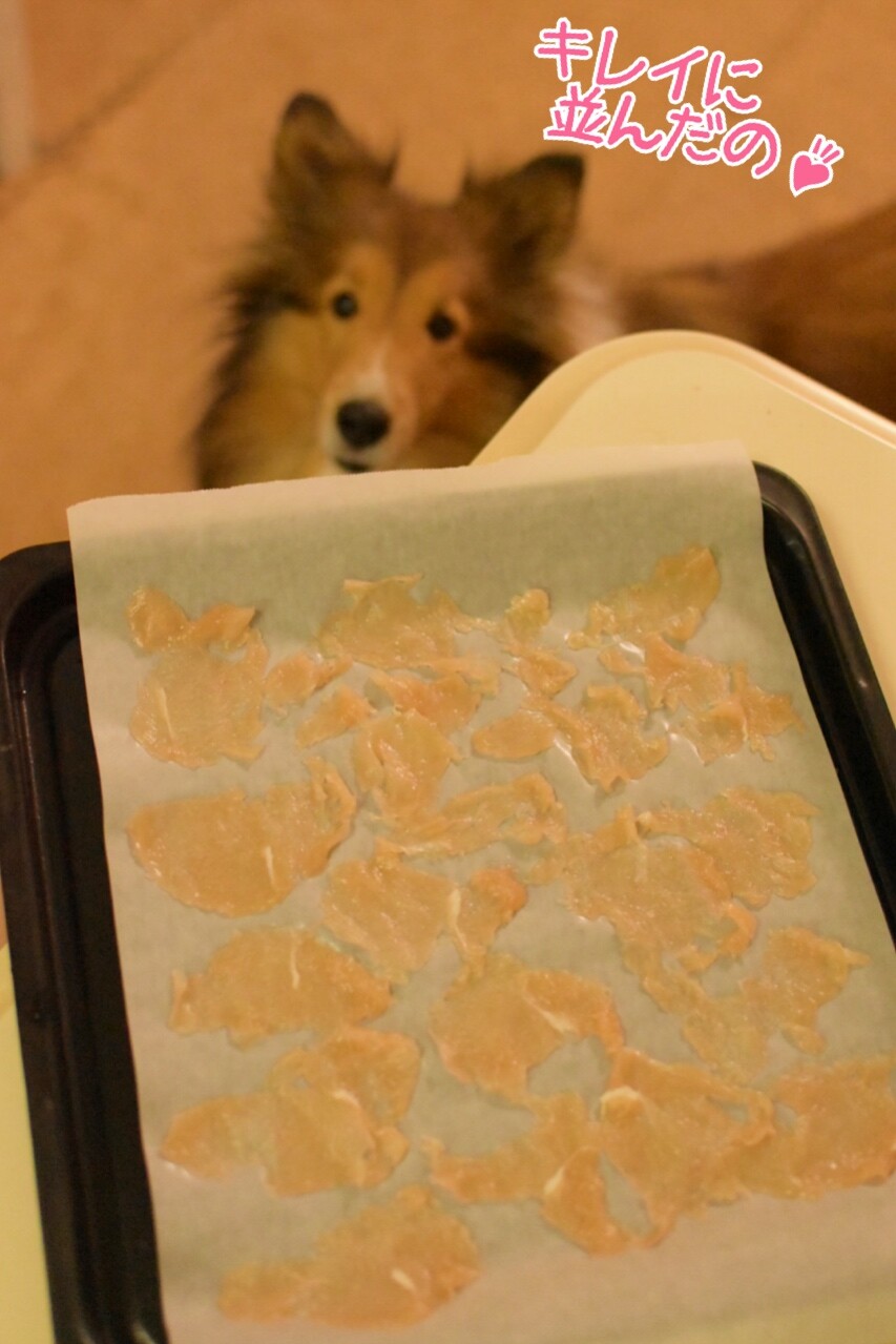 オーブンで手作りささみジャーキー 大成功 シェルティ こむっ