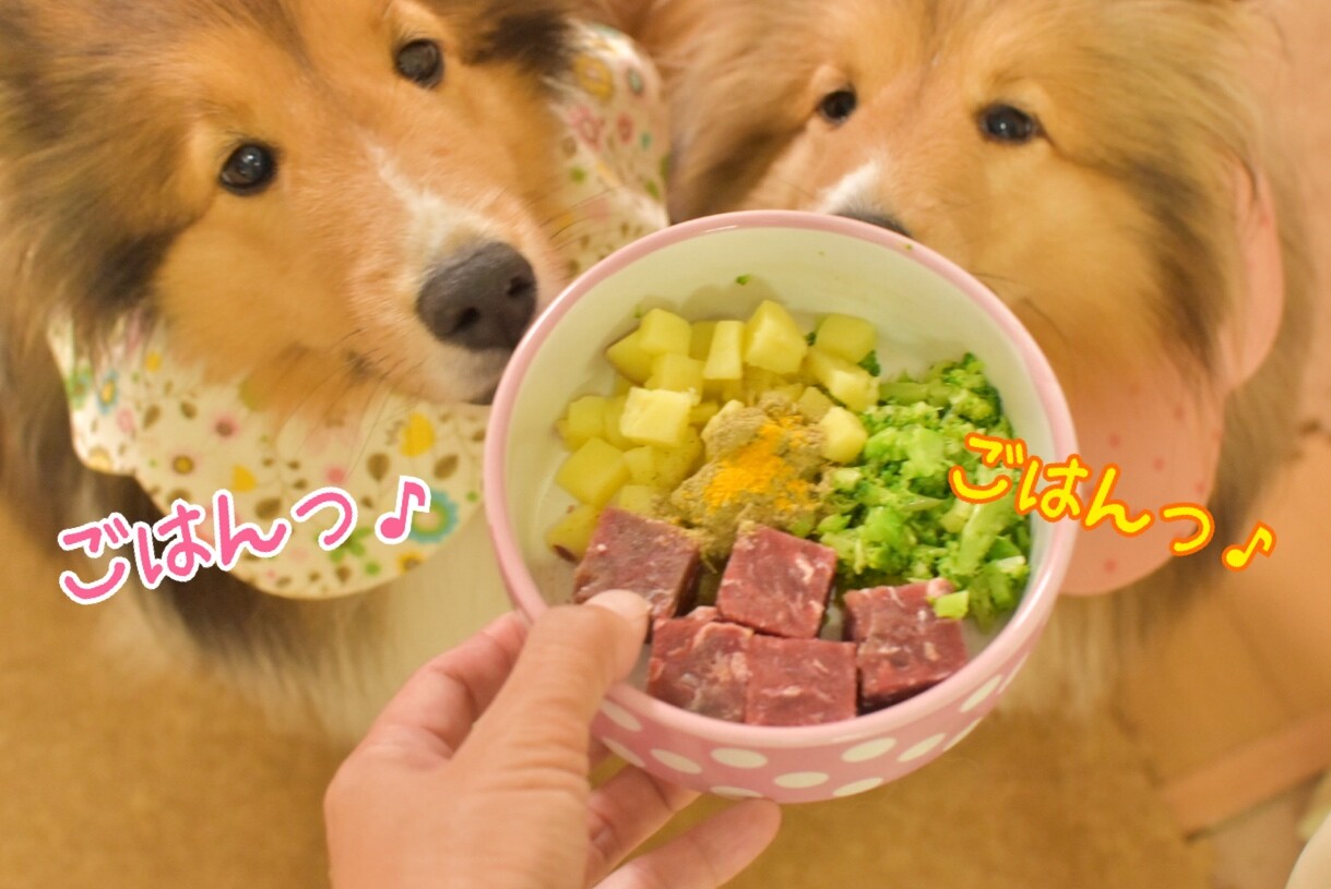 ダジャレdeかるた お つくねはナトリウム低下症 わたしがフードにトッピングをしない理由 シェルティ こむっ