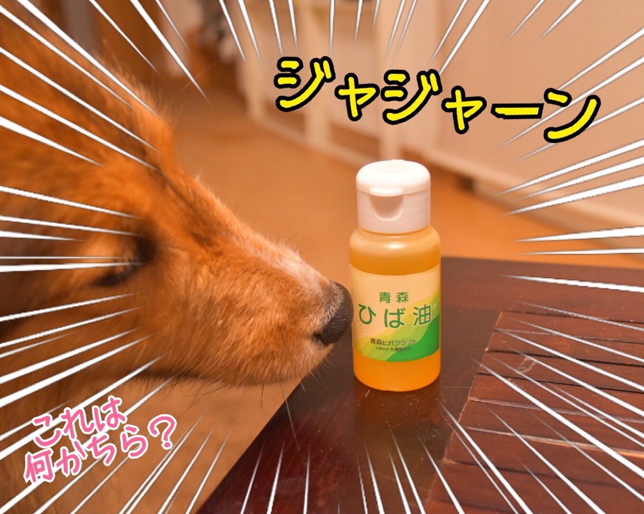 この夏 買って使ってよかったもの ビバ ひば油 プレゼントにもオススメだよ シェルティ こむっ この夏 買って使ってよかったもの ビバ ひば油 プレゼントにもオススメだよ シェルティ こむっ