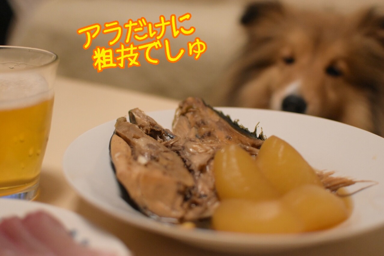 ぶりあら大根 レシピ通りに丁寧に作ってみたら あらビックリ おいしすぎ シェルティ こむっ