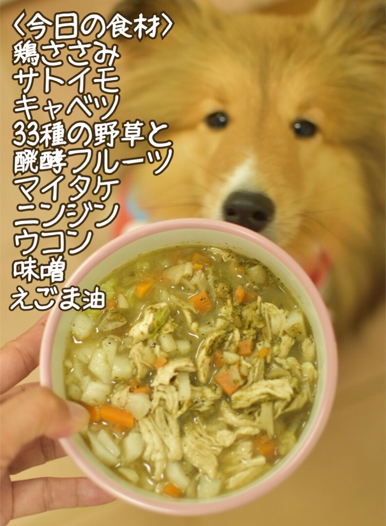 皮膚 耳 お口 内臓トラブルのサポートに 細胞を蘇らせるためのドクターズサプリ アルピニア こむつむ使ってみたよ シェルティ こむっ 皮膚 耳 お口 内臓トラブルのサポートに 細胞を蘇らせるためのドクターズサプリ アルピニア こむつむ使ってみたよ シェルティ こむっ