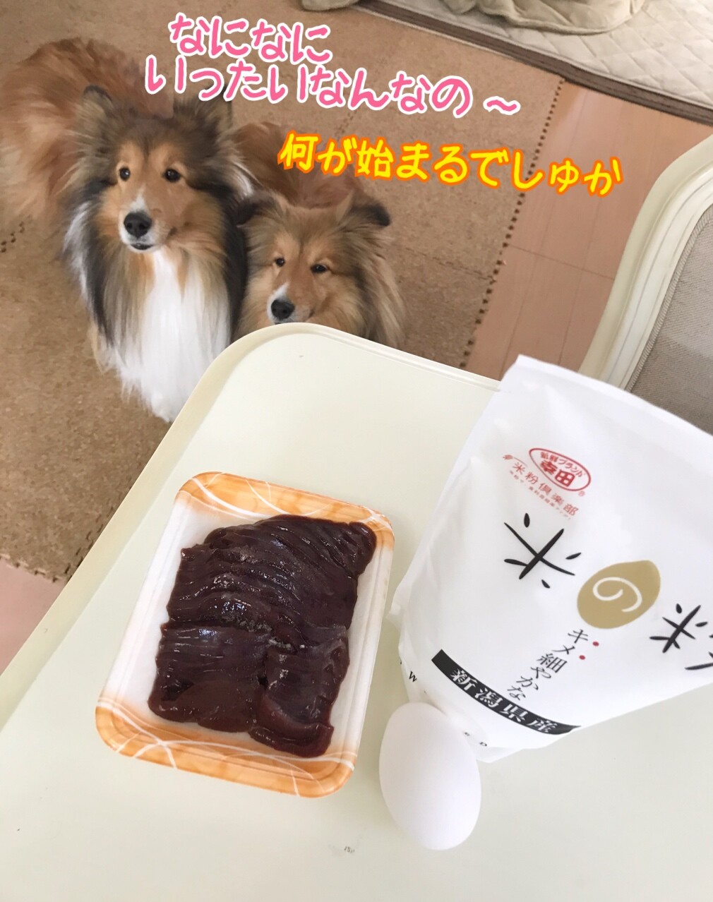 食べればーみな元気 ワンコが喜ぶレバーケーキ作ったよ シェルティ こむっ 食べればーみな元気 ワンコが喜ぶレバーケーキ作ったよ シェルティ こむっ