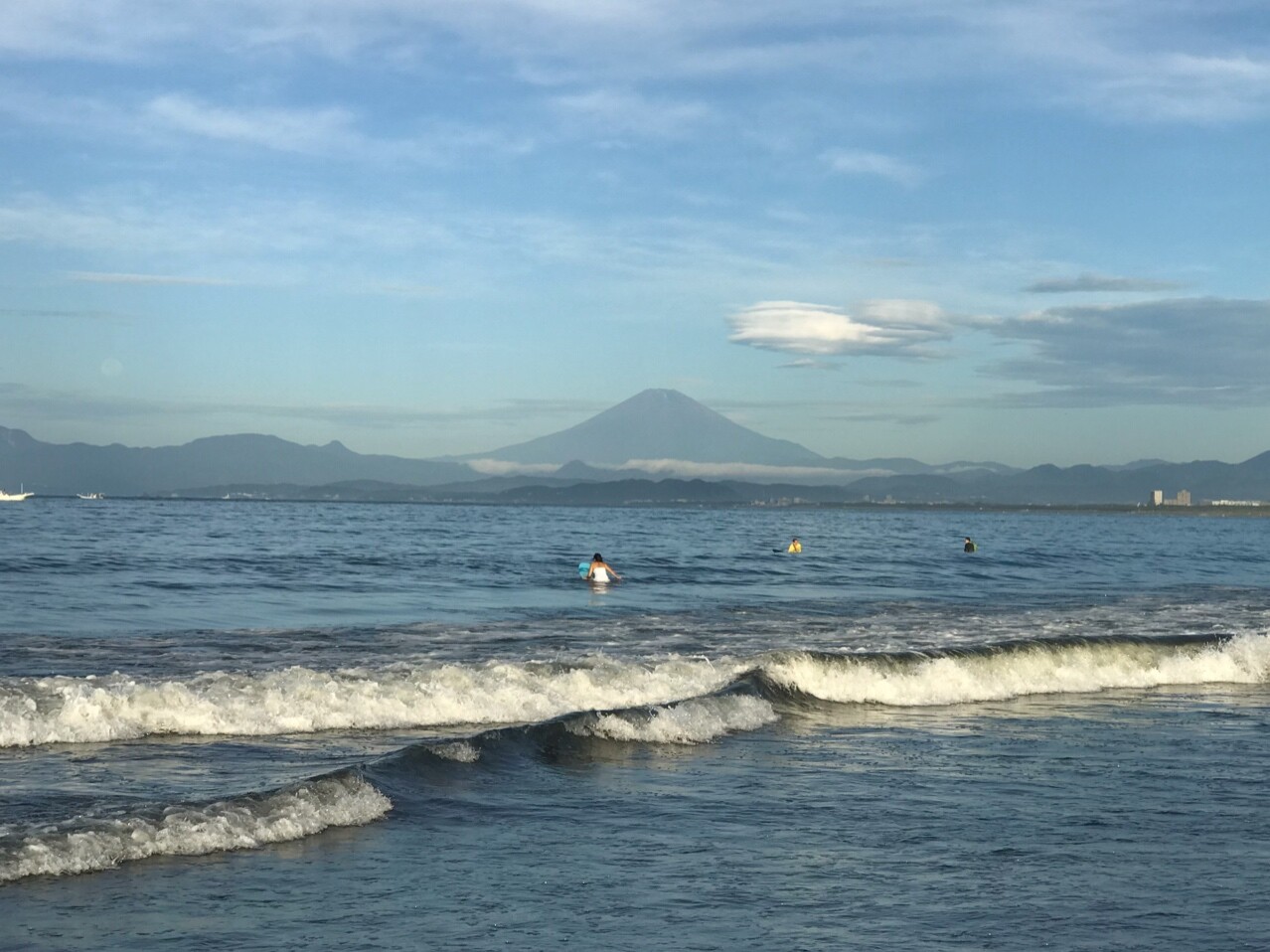 虫の嫌いな人は閲覧禁止 起床時の気象病と 恐ろしい虫刺され ヌカカ シェルティ こむっ
