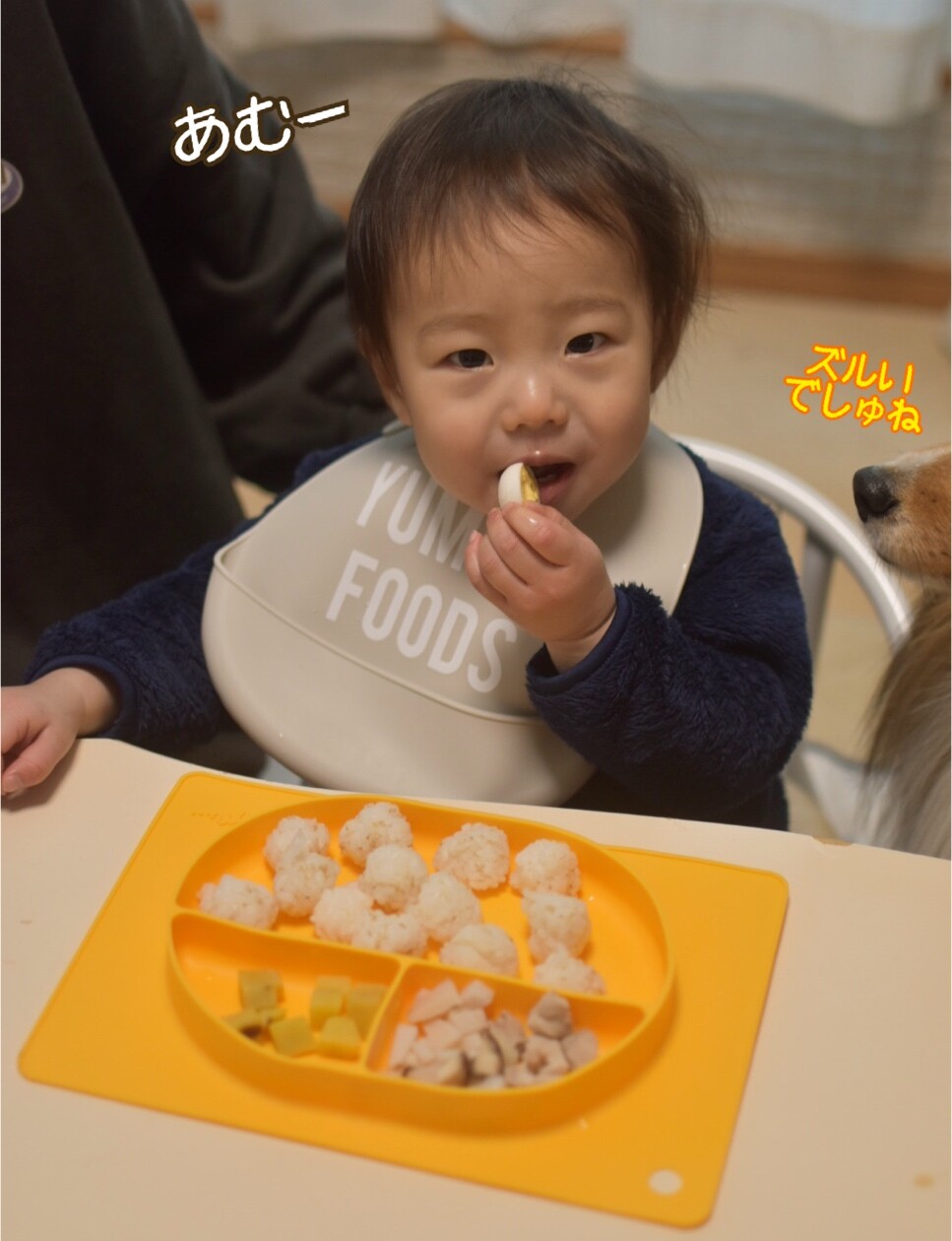 １月１日 お屠蘇におせち お雑煮にお年玉 お正月だよ こむつむさん シェルティ こむっ