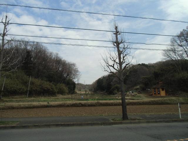 奈CIMG0997