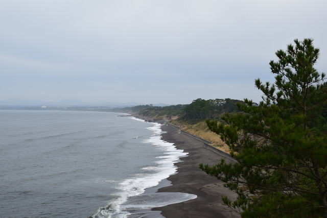 DSC_0225 (2)