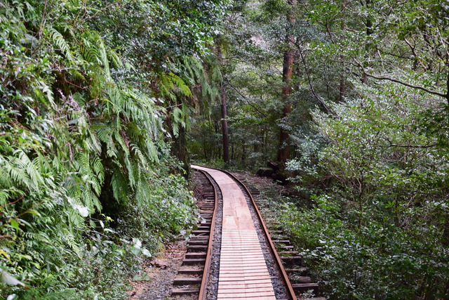 DSC_0909 (2)