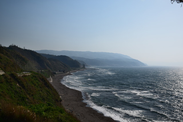 DSC_0460