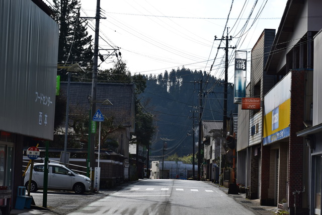 DSC_0698 (2)