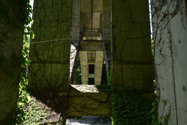 DSC_0525_compressed