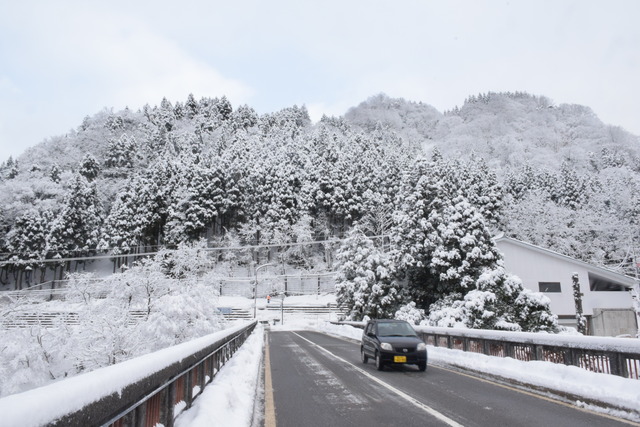 NIKON D5300965