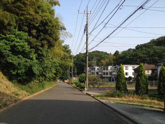 図1IMG_0708