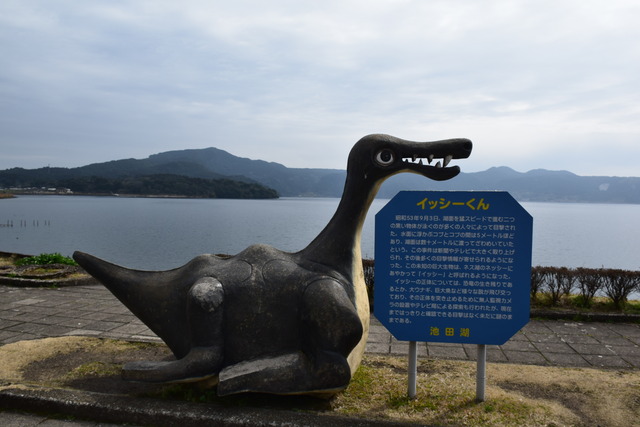 DSC_0275 (2)