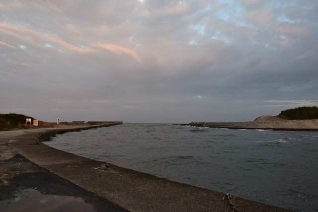 DSC_0168 (2)