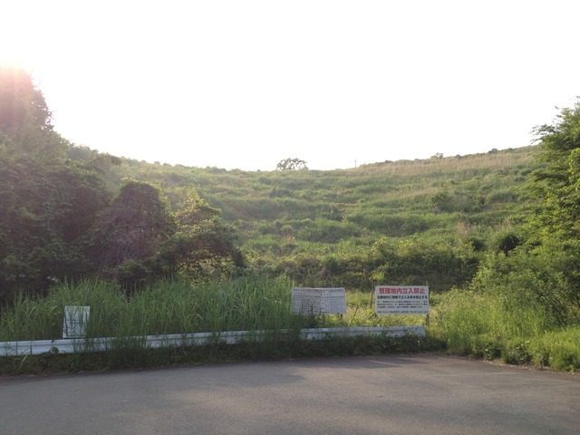 図1IMG_0716