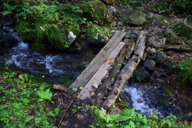 DSC_0506