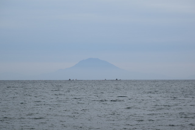 DSC_0274 (2)