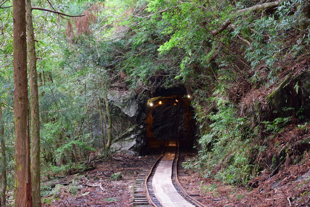 DSC_0940 (2)