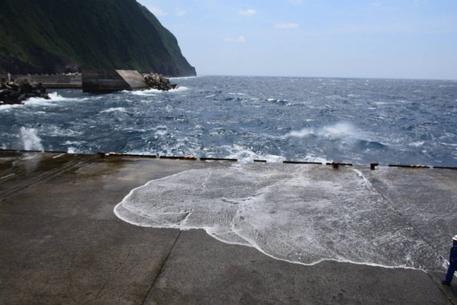 DSC_0035_compressed