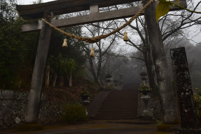 DSC_0616 (2)