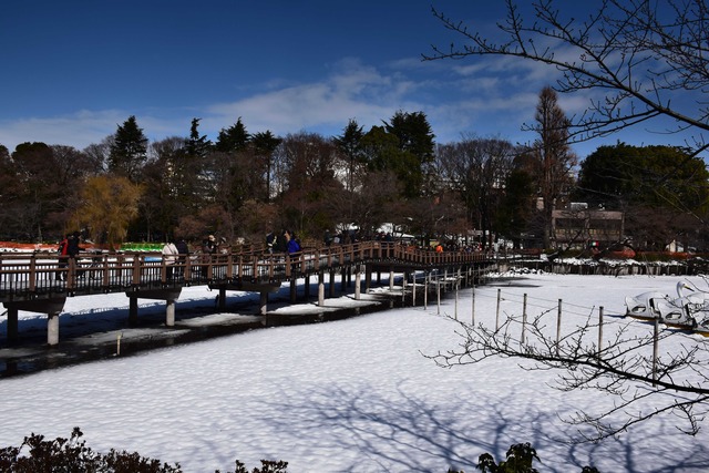 DSC_0225_compressed