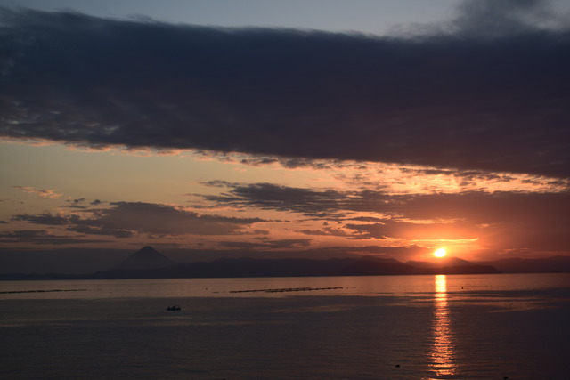 DSC_0378 (2)