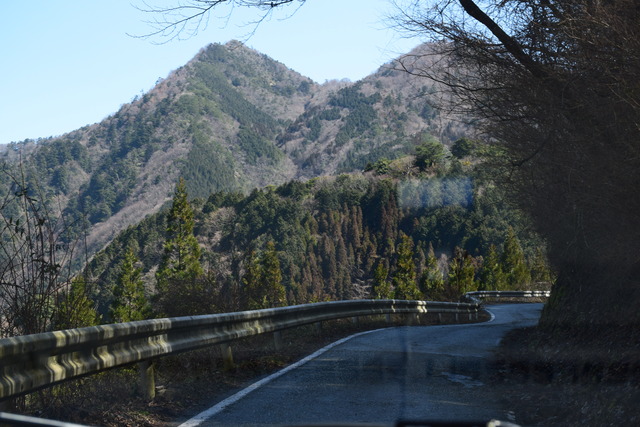 DSC_0734 (3)