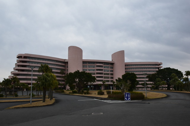 DSC_0266 (2)