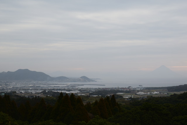 DSC_0216 (2)