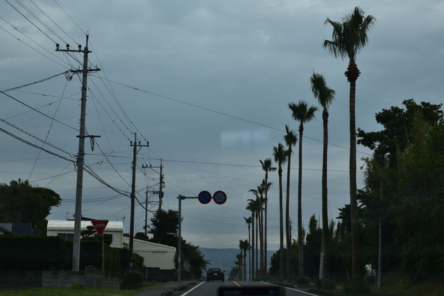 DSC_0221 (2)