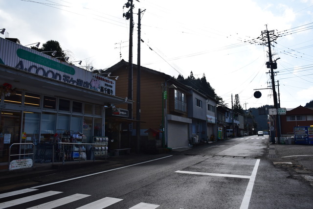 DSC_0696 (2)