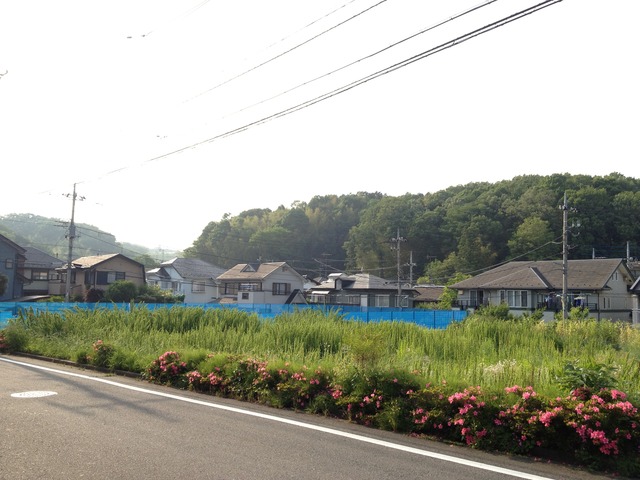 図1IMG_0704