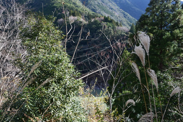 DSC_0823