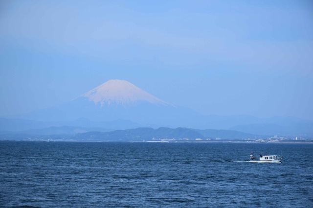 DSC_0567_compressed
