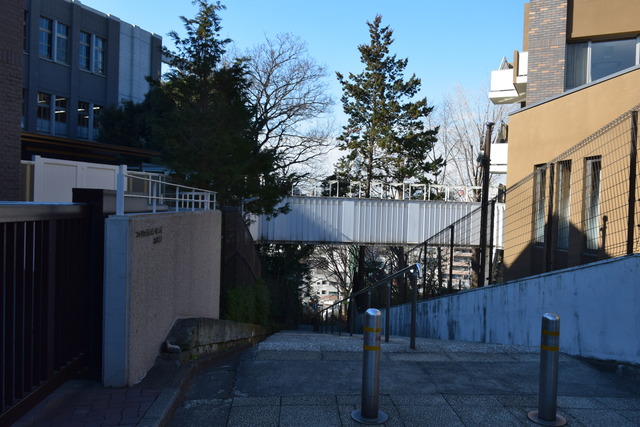 DSC_0379