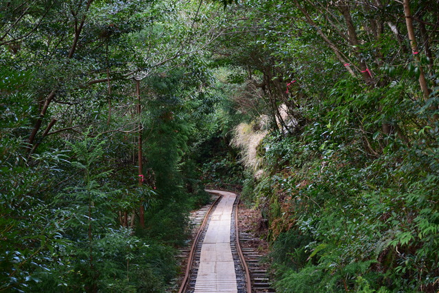 DSC_0937 (2)