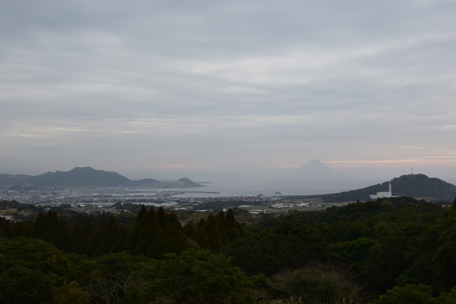 DSC_0210 (2)