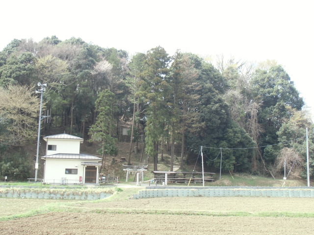 兎CIMG0996