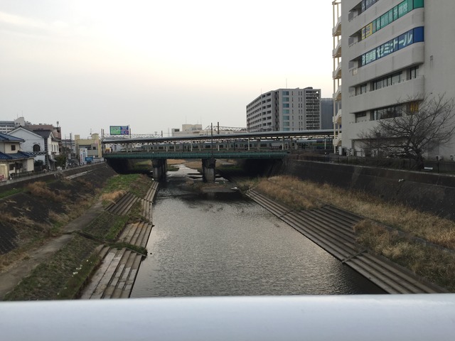 IMG_8844 (2)
