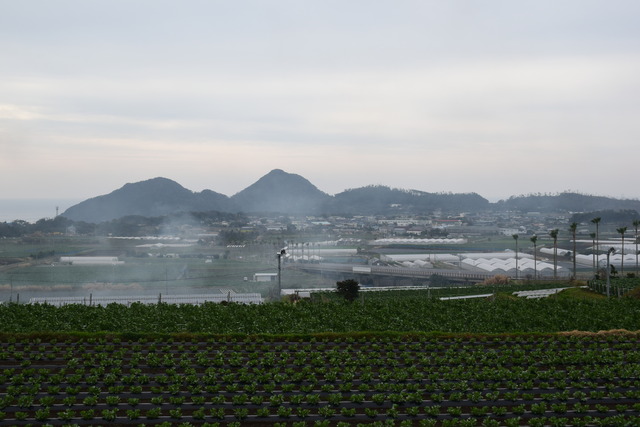 DSC_0262 (2)